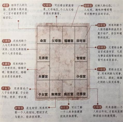 紫微正照|紫微斗数一定要懂的【三方四正】